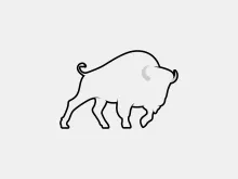 One-Line Bison Drawing: Explore Bold Animal Shapes with Simple Art Practice