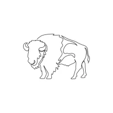 One Line Bison Drawing: Practice Large Animal Shapes with Confidence