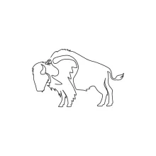 One Line Bison Drawing: Practice Wildlife Forms with a Single Line