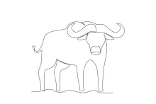 One-Line Buffalo Drawing: Discover Strong Animal Shapes with Easy Techniques