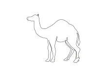 One Line Camel Drawing: Study Desert Animal Shapes in Simple Form