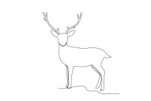 Easy Deer Drawing in One Line: Learn Forest Animal Shapes the Simple Way