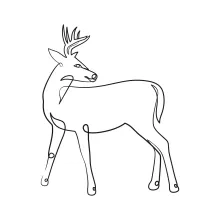 One-Line Drawing of a Deer: Practice Calm Animal Shapes with Simple Techniques