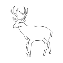 One-Line Drawing of a Deer: Practice Focus and Simplicity with a Forest Animal