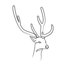 Easy One-Line Deer Drawing: Great for Beginners Learning Animal Shapes
