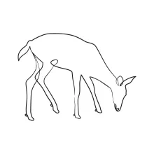 Simple One-Line Deer Drawing: Great for Practicing Shapes and Animal Structure
