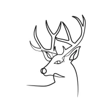 One-Line Deer Drawing: Learn Animal Proportions with Simple and Calming Line Art