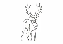 One Line Deer Drawing: Learn to Sketch Forest Wildlife Step by Step