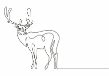 One Line Deer Drawing: Create Calm Forest Art Using Simple Lines