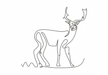 One Line Deer Drawing: Learn Gentle Forest Creatures Through Simple Lines