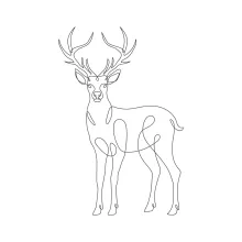 "Minimalist Deer Art: A Single-Line Study of Wildlife Beauty and Form"