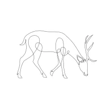 "Minimalist Deer Illustration: A Simple Way to Explore Wildlife Forms"
