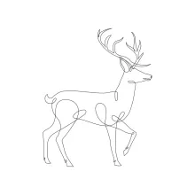 "One-Line Deer Sketch: A Straightforward Approach to Simplifying Natural Forms"