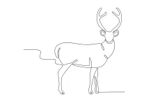 Draw a Beautiful Deer in One Line: Easy Nature Drawing for Beginners
