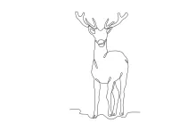 One-Line Drawing of a Gallant Deer: Practice Animal Posture with Simple Lines