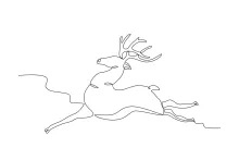 Galloping Long-Legged Deer in One Line: Learn Action and Proportion Together