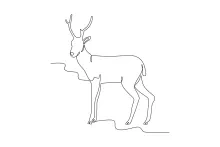 One-Line Drawing of a Long-Legged Deer: Practice Proportions in Simple Steps