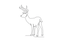 One-Line Deer Looking Back: Practice Animal Movement with Simple Lines