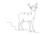 One-Line Deer Facing Forward: Learn Symmetry and Simplicity with Animal Art