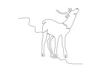 One-Line Drawing of a Deer Looking Up: Study Movement and Expression Simply