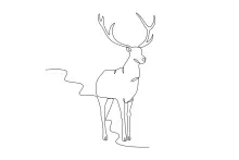 One-Line Forest Deer Drawing: Learn Animal Shape with Easy, Simple Lines