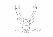 One Line Deer Drawing: Develop Observation with Simple Nature Sketches