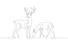 "One-Line Deer Pair Drawing: A Minimalist Study of Connection and Wildlife Silhouettes"