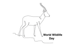 One-Line Walking Deer Drawing: Practice Movement and Animal Proportions