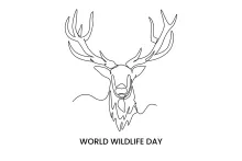 One-Line Deer Drawing: Practice Gentle Animal Shapes with a Simple Art Technique