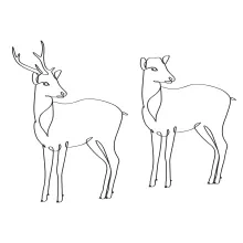 "Minimalist Elegant Deer Art: A One-Line Study of Graceful Wildlife Figures"