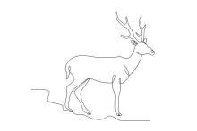 Simple One-Line Deer Drawing: Practice Nature Art the Easy Way