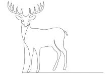One-Line Wild Deer Drawing: Explore Nature Through Simple Animal Art