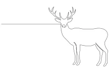 "Minimalist Wild Deer Illustration: A Simple Approach to Graceful Wildlife Forms"