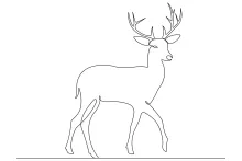 Wild Deer One-Line Art: Learn Animal Shapes with Fast and Easy Drawing