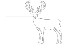 Wild Deer Drawing in One Line: Practice Fast Shapes and Natural Forms