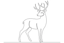 "One-Line Wild Deer Sketch: A Minimalist Approach to Capturing Natural Wildlife"