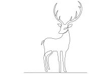 One-Line Drawing of a Wild Deer: Study Nature with a Minimalist Style