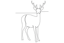 Simple One-Line Drawing of a Wild Deer: Nature Art Made Easy