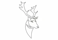 One Line Reindeer Head Drawing: Explore Facial Structure in Simple Form