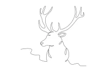 One-Line Deer Head Drawing: Study Antlers and Facial Shape with Ease