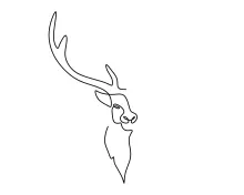 One Line Deer Head Drawing: Practice Horn and Face Structure Easily