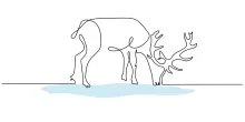 One Line Deer Grazing Drawing: Practice Natural Animal Poses Easily