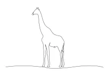 "Minimalist Giraffe Sketch: A One-Line Study of Wildlife Elegance"