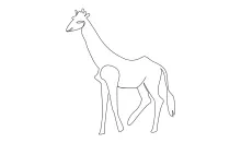 "One-Line Giraffe Sketch: A Simplified Approach to Wildlife Form and Motion"