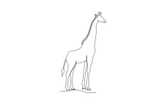 Draw a Long-Necked Giraffe in One Line: Explore Height with Simple Art