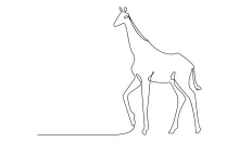 "Minimalist Standing Giraffe Illustration: A One-Line Study of Iconic Wildlife Postures"