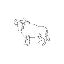 One Line Wildebeest Drawing: Learn Big Body Shapes in Simple Wildlife Art