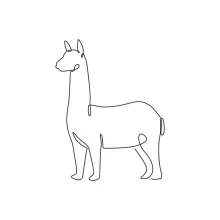 One Line Llama Drawing: Learn Graceful Animal Shapes with Simple Lines