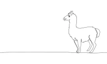 Simple One-Line Llama Drawing: Practice Fun Animal Shapes with Minimal Effort