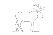 Easy One-Line Moose Drawing: Practice Drawing Large Antlered Animals